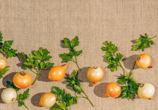 Fresh onions and parsley on a linen cloth background — Stock Photo, Image