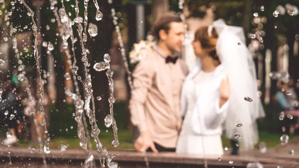 Стильная Нежная Свадьба Молодой Красивый Жених Невеста Осеннем Парке — стоковое фото