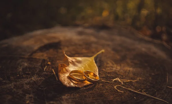 Gouden trouwringen en gele herfst bladeren. Bruiloft in rustieke stijl — Stockfoto