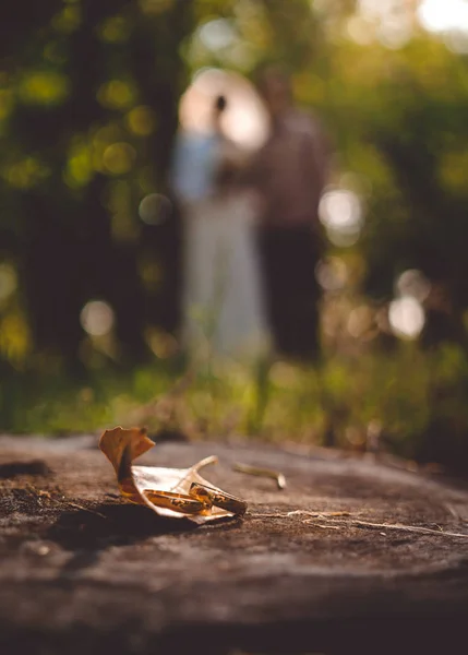 Romantic autumn wedding. Wedding rings, a couple of newlyweds and an old autumn park