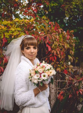 Genç arasında vahşi üzüm çalılıkları güzel