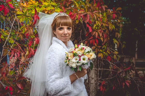 Молодая красивая невеста среди зарослей дикого винограда — стоковое фото