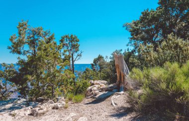 Grand Kanyon Milli Parkı, Arizona'nın pitoresk çöl doğa