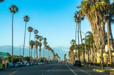 Los Angeles, Kaliforniya, ABD - 21 Mart 2017: Avuç içi ve Los Angeles sokaklarında. Santa Monica şehir yaşamında. Yeşil çimenler, tropikal palmiye ağaçları ve araçların yolda. Rahat konut çeyrek