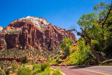 Doğal Zion National Park, Utah, Amerika yaz gezisi