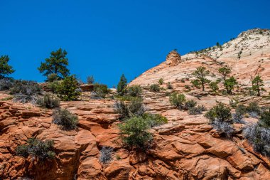 Uçurum ve kanyonlar Zion National Park. Utah peyzaj
