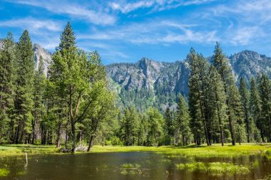 Göl ve orman Yosemite Vadisi'nden. California, Amerika Birleşik Devletleri