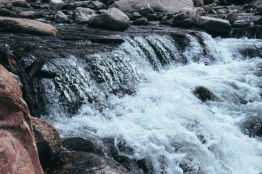 Bir dağ nehir temiz su. Rocky Dağları güzel doğası. Colorado, Amerika Birleşik Devletleri