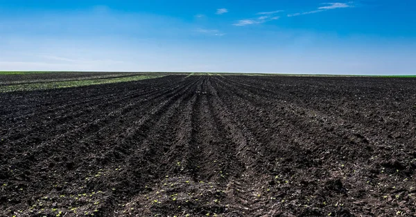 Geploegd landbouwgebied. Voorbereiding op werk in de landbouw voorjaar — Stockfoto