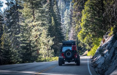 Yaz Sequoia Ulusal Parkı, California, ABD. ABD doğal parklar bir off-road araç Araba gezisi