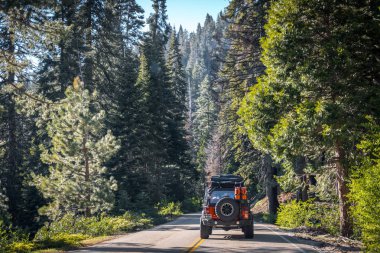 Yaz Sequoia Ulusal Parkı, California, ABD. Doğal parklar ABD gezisinde araba