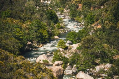 Dağ nehir krallar Kanyon koru, California. Vahşi doğa