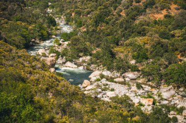Sequoia National Park ve Kings Kanyon, Kaliforniya, ABD