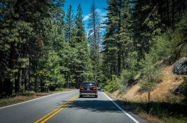 Το καλοκαίρι για το εθνικό πάρκο Sequoia, Καλιφόρνια, ΗΠΑ. Δάσος εθνικής οδού μέσα από το πάρκο φύσης — Φωτογραφία Αρχείου