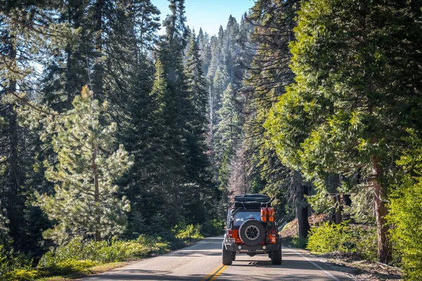 Summer in the Sequoia National Park, California, USA. Car trip on the US natural parks — Stock Photo, Image