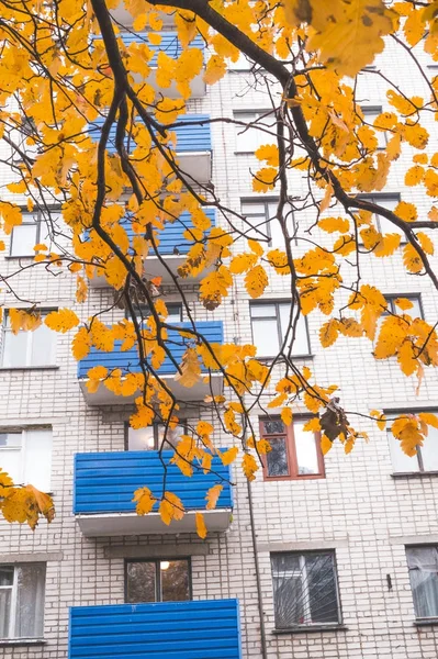 Efterårets Sorg Ensomhed Gule Faldende Blade Baggrund Facaden Multi Lejlighed - Stock-foto