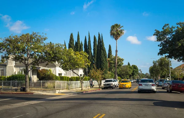 Los Angeles Califórnia Eua Março 2017 Palmas Ruas Los Angeles — Fotografia de Stock