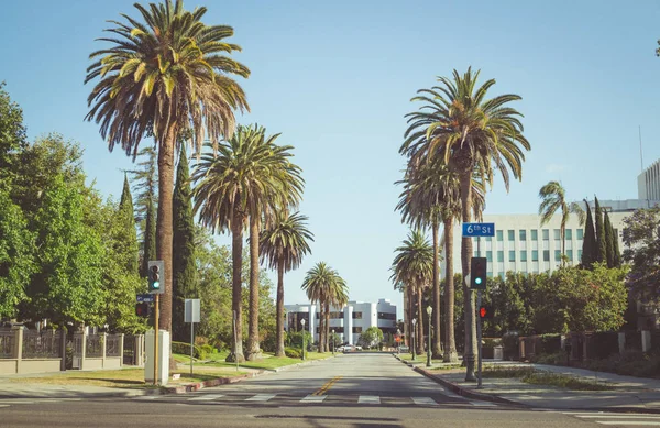 ロサンゼルス カリフォルニア アメリカ合衆国 2017 ヤシの木とロサンゼルスの街 パサデナ都市生活 緑の芝生 熱帯のヤシの木 道路上の車 居心地の良い住宅地 — ストック写真