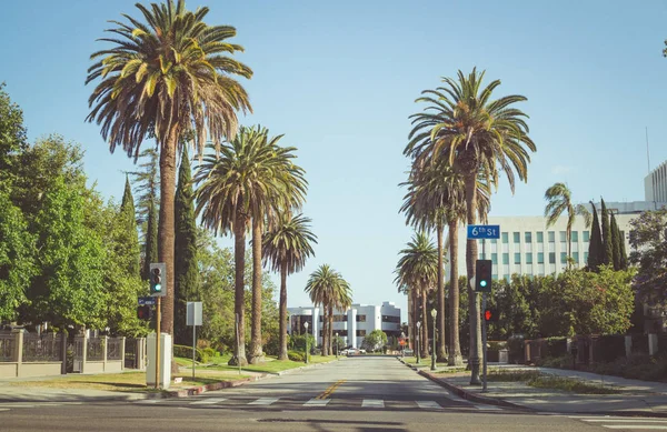 Los Angeles California Usa Marzo 2017 Palme Strade Los Angeles — Foto Stock