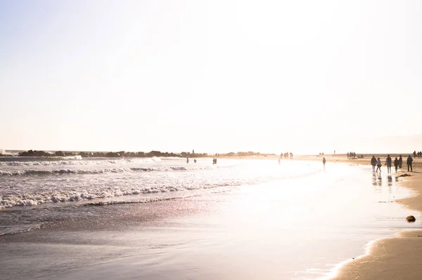 Promenera Längs Kusten Stilla Havet Los Angeles Den Allmänna Parken — Stockfoto