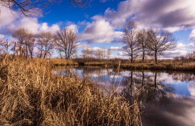 İngiltere'de güneşli bahar günü. Erken baharda güzel doğa