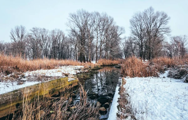 Ancien Canal Drainage Prairie Marécageuse Début Printemps — Photo