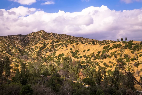 Hollywood Hills Griffith Park Los Angeles Konumlar — Stok fotoğraf