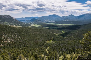 Vahşi Colorado, ABD. Rocky Dağı Milli Parkı. Yüksek dağ vadinin iğne yapraklı orman