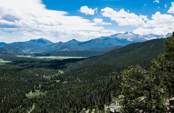 Bezdroża Colorado Usa Rocky Mountain National Park Zielone Lato Wysokogórska — Zdjęcie stockowe