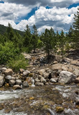 Hızlı dağ dere. Rocky Dağı Milli Parkı, Colorado, Amerika Birleşik Devletleri. Dağlarda yaz