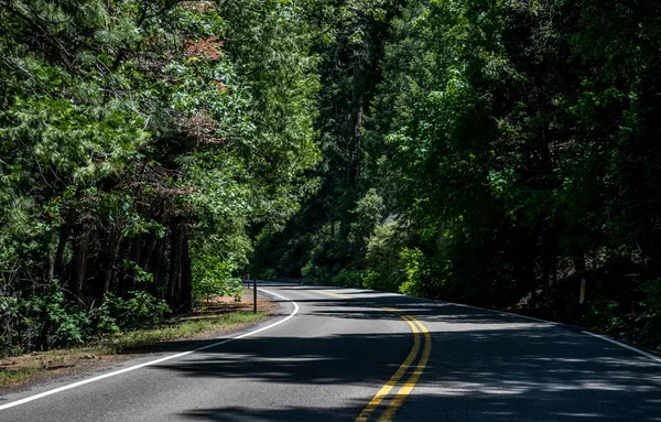 Route Sinueuse Dans Une Forêt Conifères Dans Vallée Yosemite Paysage — Photo