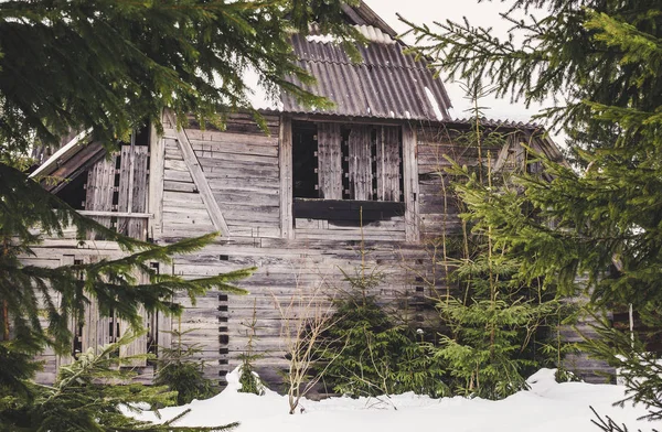 Antigua Casa Misteriosa Abandonada Bosque —  Fotos de Stock