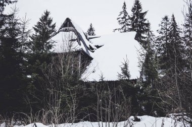 Karpat Dağları ormanda korkunç eski terk edilmiş evde