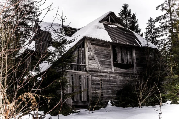 森の中の怖い古い廃屋 — ストック写真