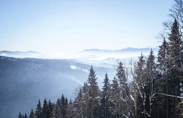 在大山上的冬雪景观 欧洲东部山区的冬季假期 — 图库照片