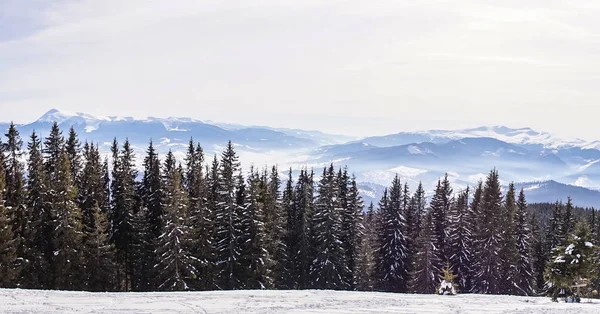 冬季景观在大山 东欧的野生性质 — 图库照片