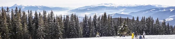 冬季之旅 滑雪者欣赏群山的全景 喀尔巴阡山雪覆盖的斜坡 — 图库照片