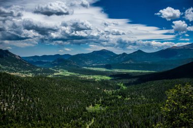 Sınır arazi. Yeşil dağ Vadisi, Rocky Dağı Milli Parkı ağaçlık. Colorado, ABD