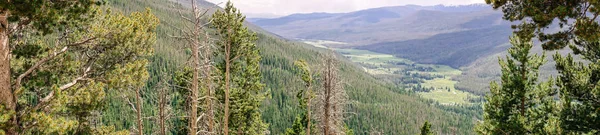 Green Summer Mountain Valley Rocky Mountain National Park Colorado Estados — Foto de Stock