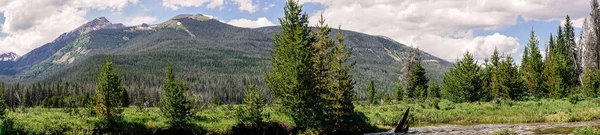 Green Summer Mountain Valley Rocky Mountain National Park Colorado Nature — Stock Photo, Image