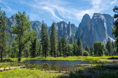 Yeşil Yaz Yosemite Vadisi ve Merced Nehri. Yosemite Milli Parkı, Kaliforniya, ABD