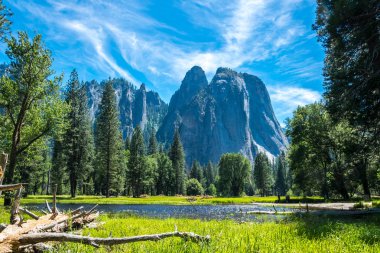 Yeşil Yaz Yosemite Vadisi. Yosemite Milli Parkı, Kaliforniya, ABD