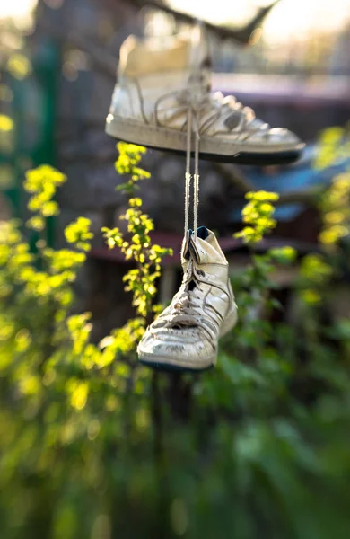 Old worn out shoes and a spring green garden