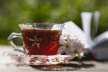 Fincan çay ve bir kitap. Bahar bahçe içinde eğlence
