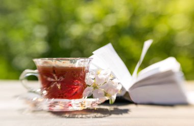 Güneşli bir bahçe huzurlu tatil. Bir bardak ve bir kitap okuma için