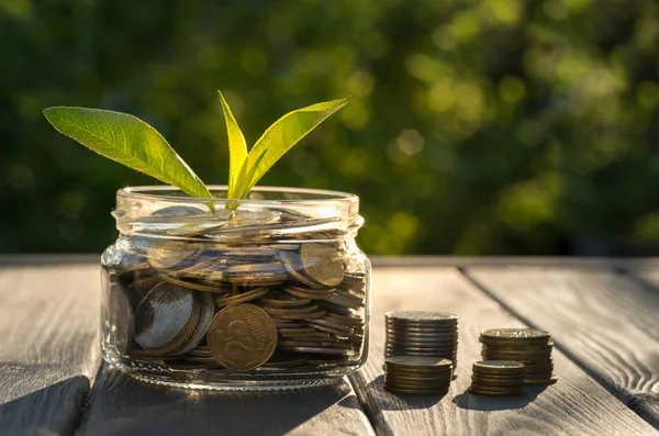 Wirtschaftswachstum Und Münzen — Stockfoto