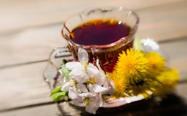Bahar güneşli Bahçe, parlak sarı dandelions ve sıcak güzel kokulu çay