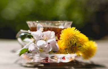 Bahar güneşli Bahçe, parlak sarı dandelions ve sıcak çiçek çay
