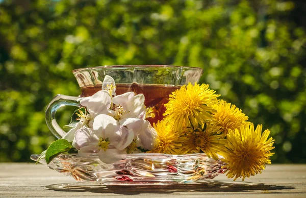 Άνοιξη Καταπράσινο Κήπο Και Ένα Φλιτζάνι Ζεστό Τσάι Από Βότανα — Φωτογραφία Αρχείου