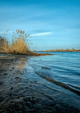 Sonbaharda güneşli çayırlarda. Donmuş göl ve kavak ağaçları